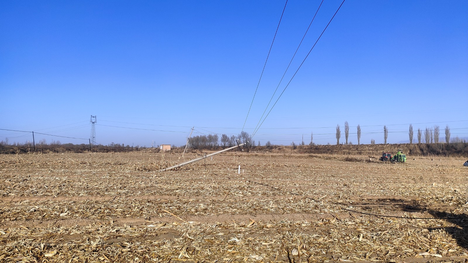 mmexport1700666751947.jpg mmexport1700666751947.jpg